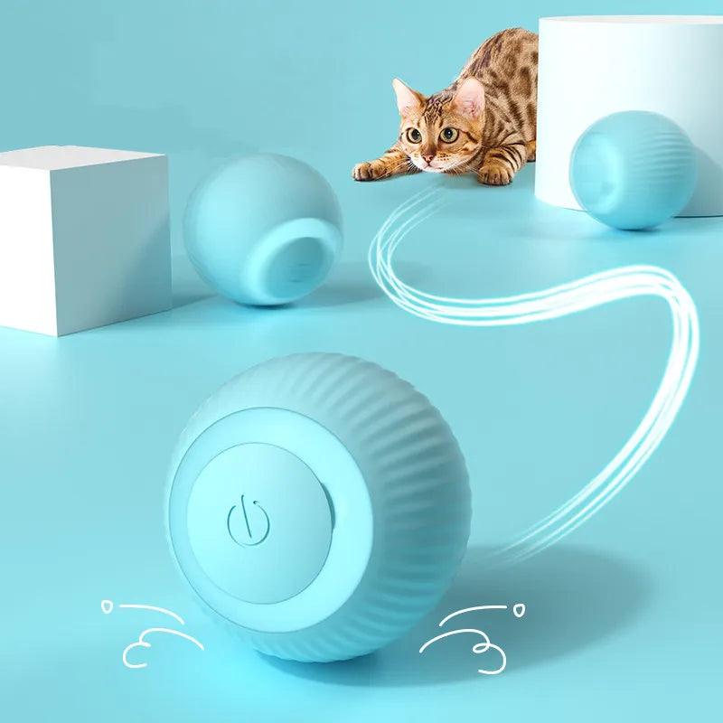 Brinquedos de bola inteligente para gato - Ramane Store